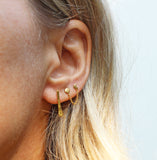 Ponderosa Earrings in Gold Vermeil